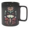 Kitchen Kept Shop | Far & Away Moth Mug