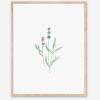 Paper Kept Shop | Katelyn Morse-Lavender Art Print (8" X10")