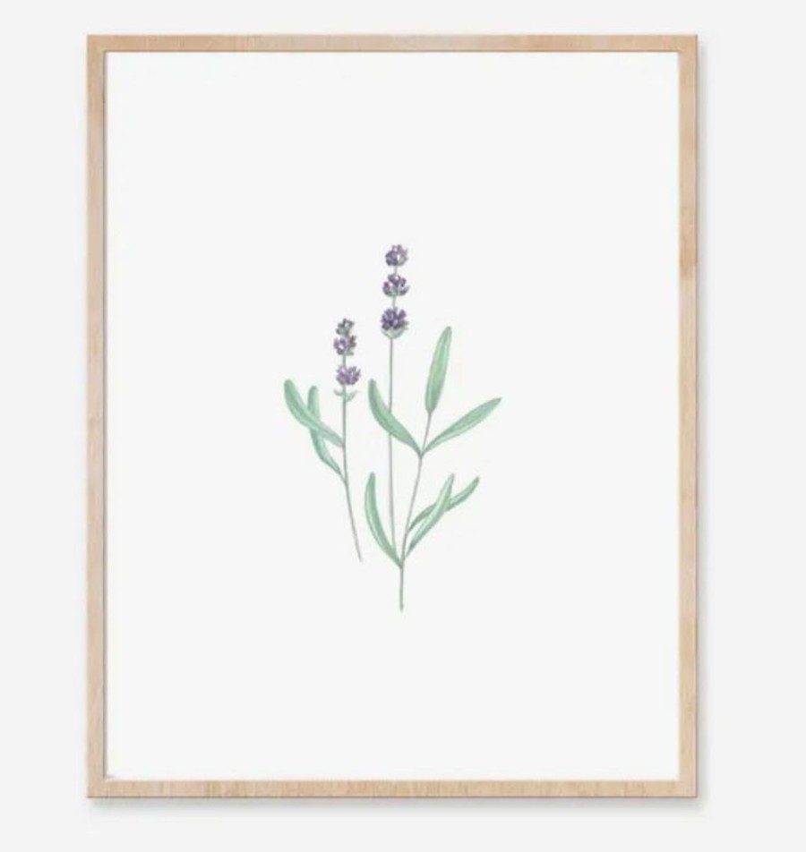 Paper Kept Shop | Katelyn Morse-Lavender Art Print (8" X10")