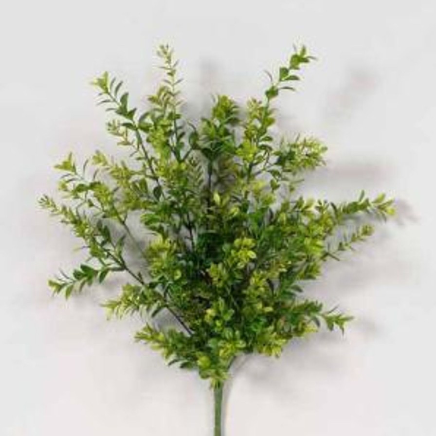 For The Home Kept Shop | Boxwood Bush