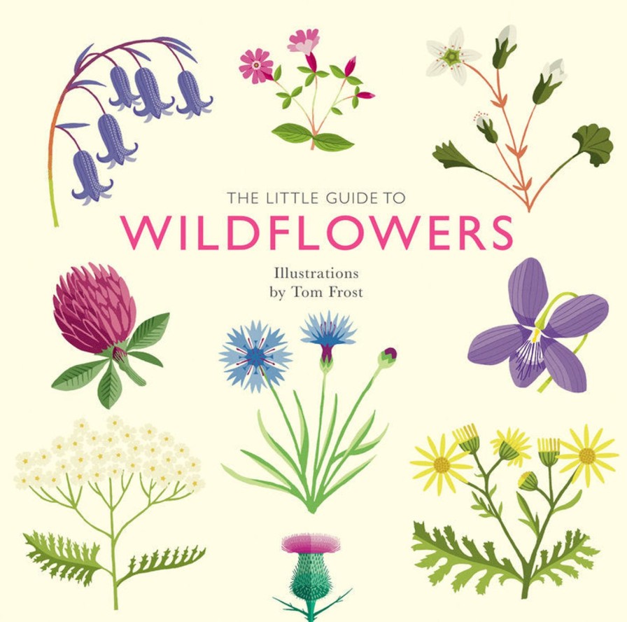 Paper Kept Shop | The Little Guide To Wildflowers Book