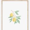 Paper Kept Shop | Katelyn Morse-Lemon Art Print (8" X10")