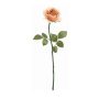 For The Home Kept Shop | Peach Rose Stem