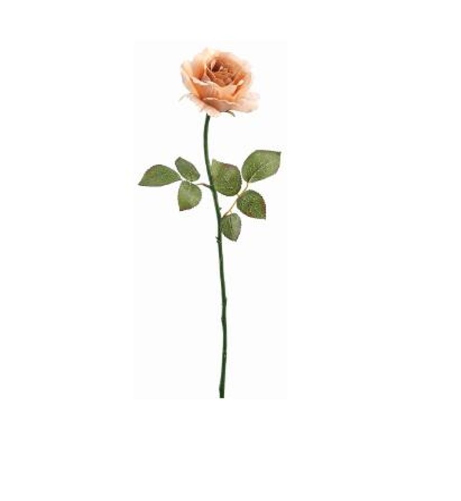 For The Home Kept Shop | Peach Rose Stem