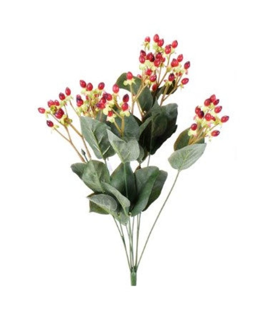 For The Home Kept Shop | Red Hypericum Bush