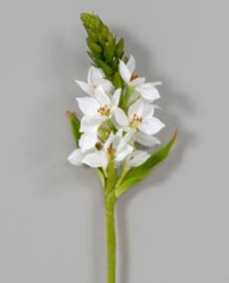 For The Home Kept Shop | Star Of Bethlehem Spray