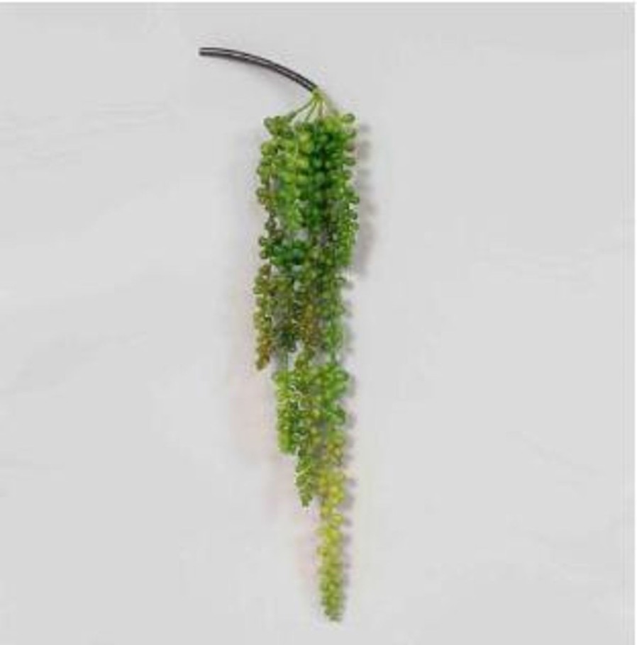 For The Home Kept Shop | Hanging Sedum Plant