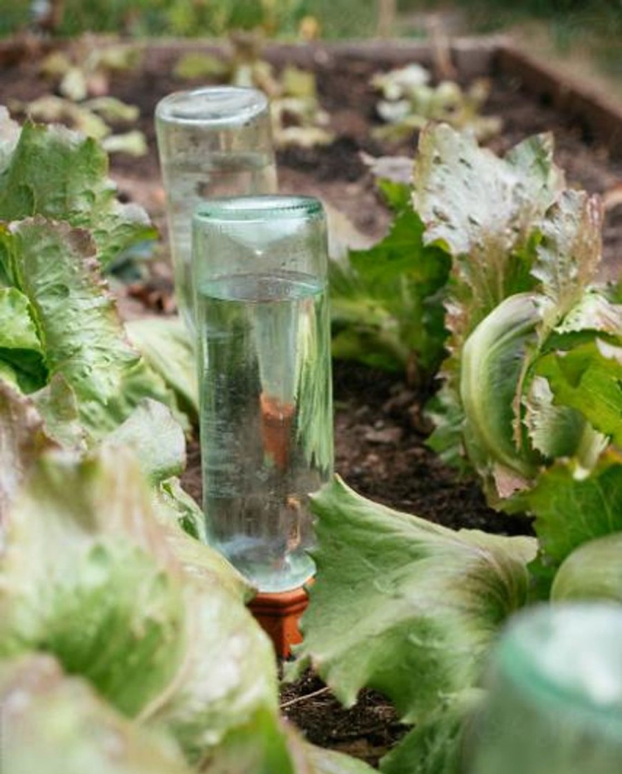 For The Home Kept Shop | Terracotta Watering Stake