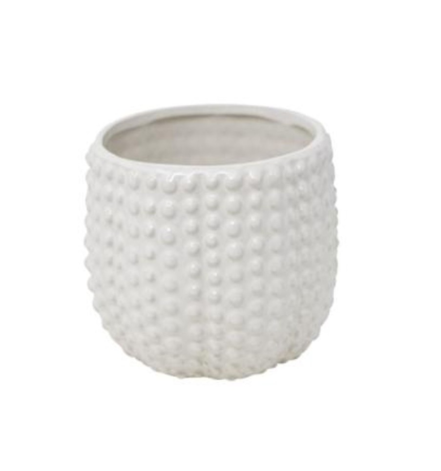 For The Home Kept Shop | Bulle Pots (2 Sizes)