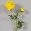 For The Home Kept Shop | Yellow Ranunculus Spray