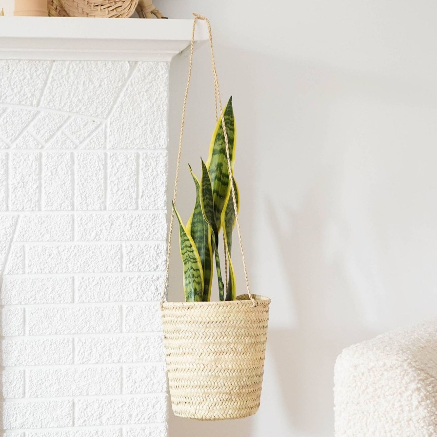 For The Home Kept Shop | Sequoia Straw Plant Hanger