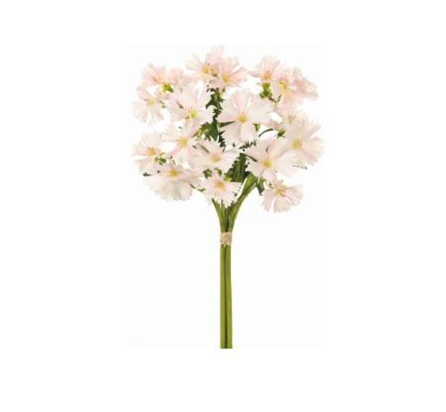 For The Home Kept Shop | Two-Tone Dianthus Bundle