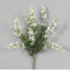 For The Home Kept Shop | White Veronica Bush