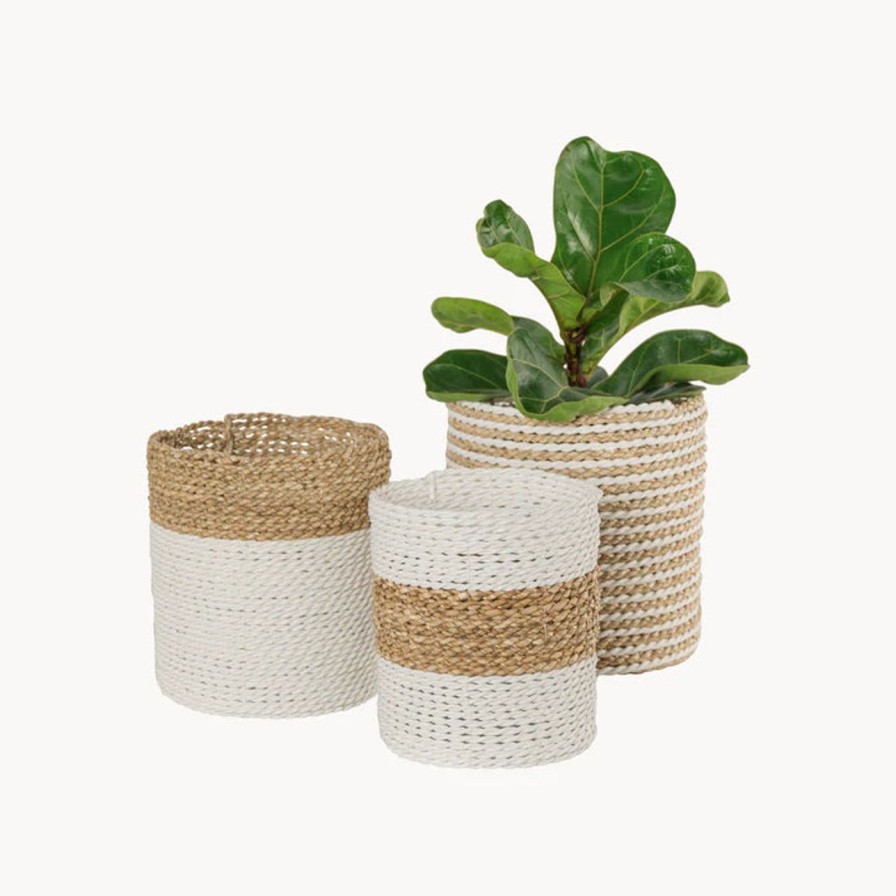 For The Home Kept Shop | Seagrass Planter Baskets (3 Types)